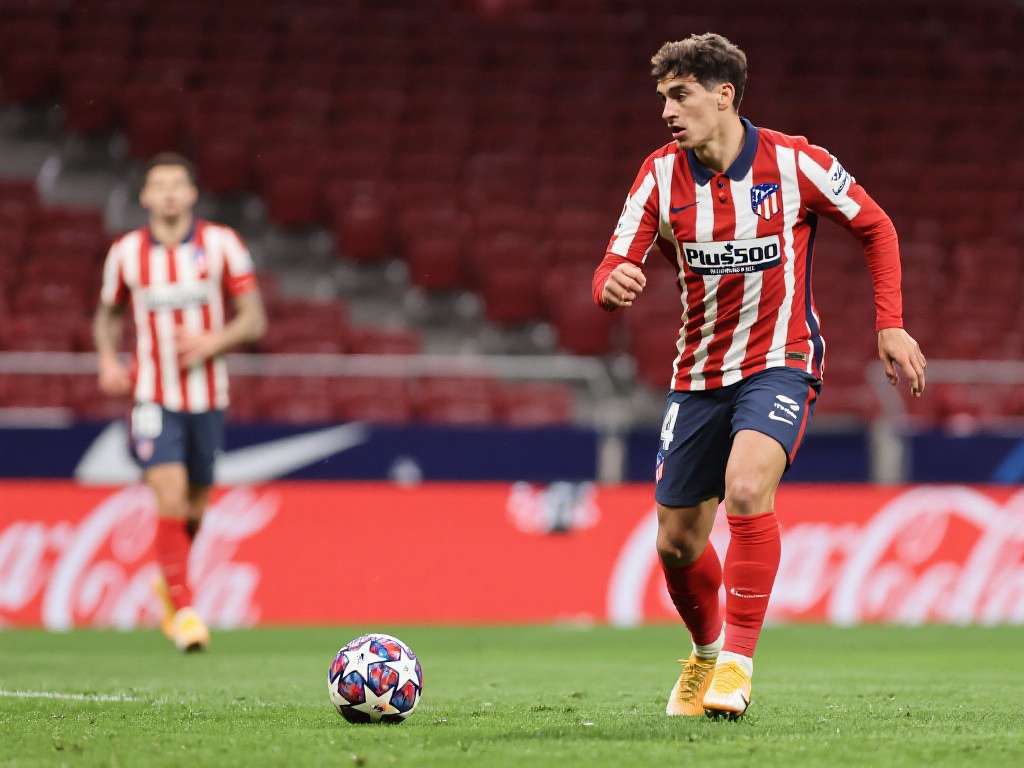 已经成为运 已经成为运