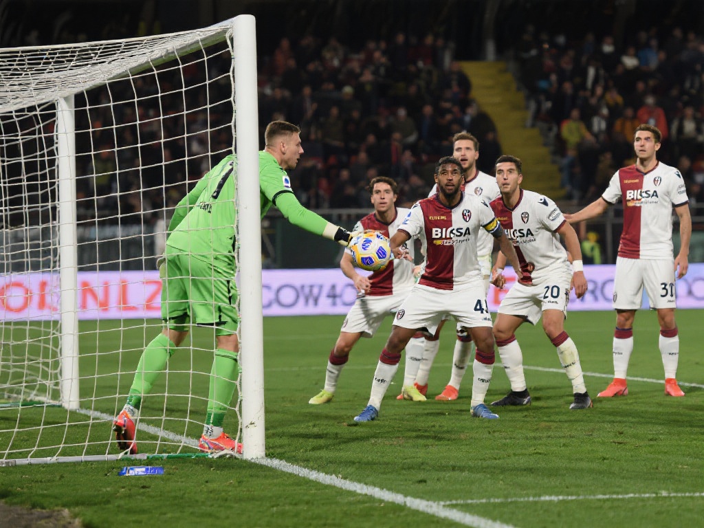 我们将探讨 我们将探讨